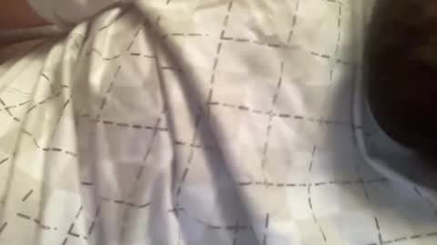 heavyprocess online show from December 15, 8:19 am