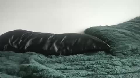 DrixxTheGod online show from April 5, 4:26 pm