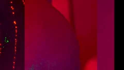 Alina online show from October 31, 5:57 pm