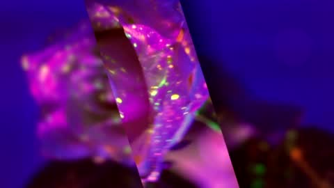 Alina online show from February 28, 5:17 pm