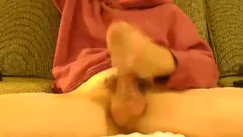 Ryx088 online show from December 3, 11:38 pm