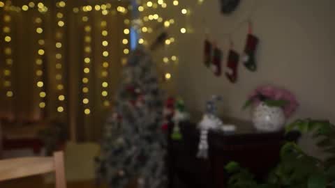 Moni Monica online show from December 23, 8:09 am