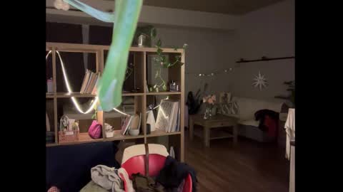 dori not holy get my tg channel with link from description under last photo online show from October 25, 2:50 pm