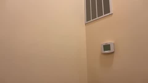 honey_man14 online show from March 5, 10:19 pm