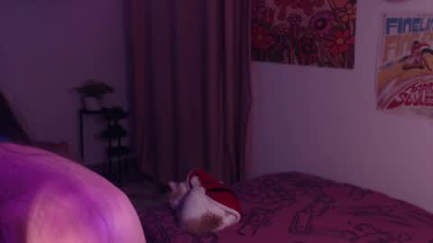 Snapshot of honeyypeaach chatting on December 6, 11:30 pm    online show from December 6, 11:30 pm