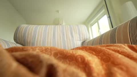 horny_edgucated online show from May 3, 1:17 pm