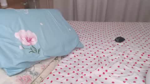 Nikki online show from June 15, 8:28 am