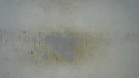 Bella online show from March 4, 11:02 pm