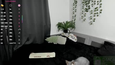   online show from October 2, 6:07 pm