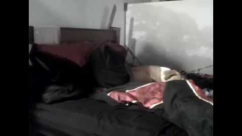 hotazz266 online show from January 15, 12:41 am