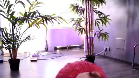 Anais online show from July 10, 9:25 am