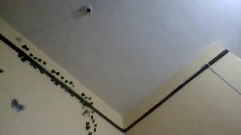 hotpussy online show from June 21, 10:16 pm