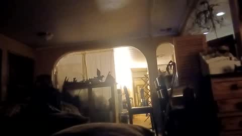 houndmefromhell online show from February 26, 10:49 am