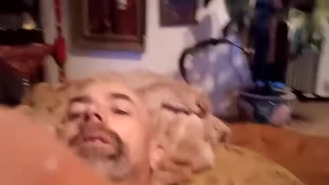 houndmefromhell online show from February 18, 4:03 pm