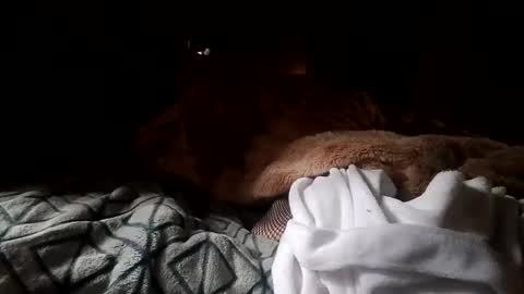 houndmefromhell online show from December 25, 4:22 pm