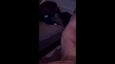 hungitalian40 online show from February 27, 5:55 am