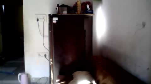 hunkster102 online show from February 8, 4:05 am