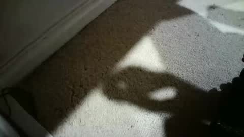 Hypeman online show from February 26, 6:28 am