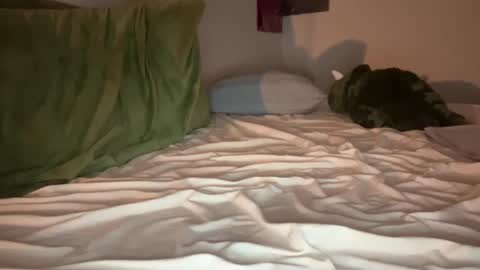 Olive online show from September 18, 2:32 pm