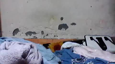 iiiirasoa online show from July 17, 9:11 am
