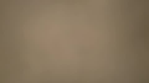 Morvoys online show from November 6, 5:38 pm