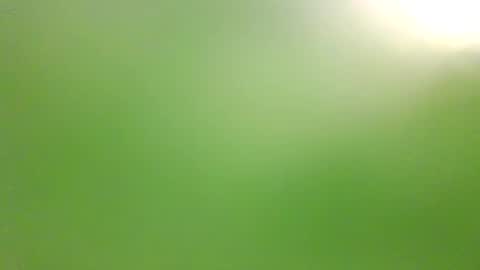 illuminatiheadspace1 online show from October 3, 1:15 am