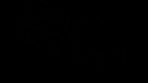 im19phxaz online show from November 10, 11:07 pm