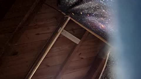 imabigolperv online show from October 19, 5:39 pm