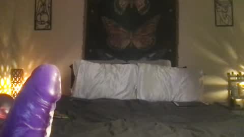 Indigo Bay online show from February 8, 9:13 am