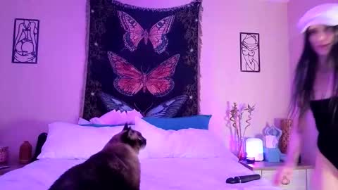 Indigo Bay online show from February 3, 5:05 am