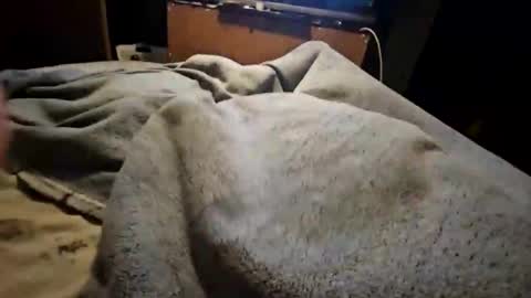 ireallyamtherealslimshady online show from February 28, 4:27 am