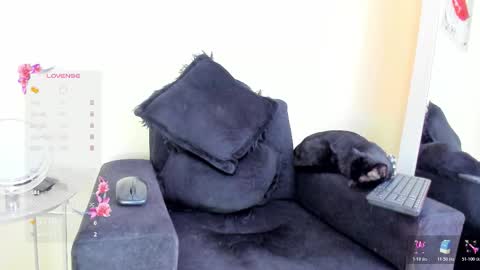 Angelica online show from November 19, 7:45 pm