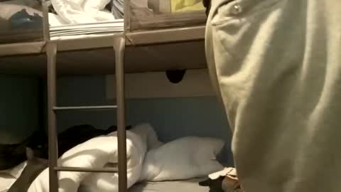 j434934 online show from December 21, 4:57 pm