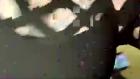 jadedrose88 online show from August 2, 2:41 pm