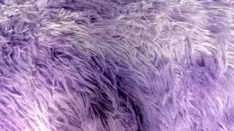 jadeestudios online show from October 20, 3:22 am