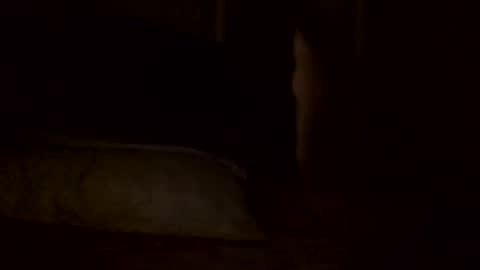 Jamacian online show from February 2, 5:59 pm