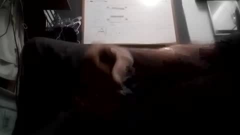 jamesonmccormick42 online show from November 22, 1:09 pm