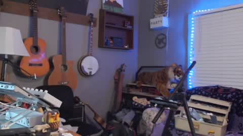 Jameswebbscope online show from June 18, 10:20 am
