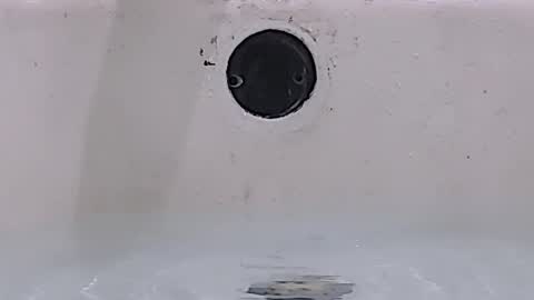 Bootyshows online show from March 15, 1:25 pm