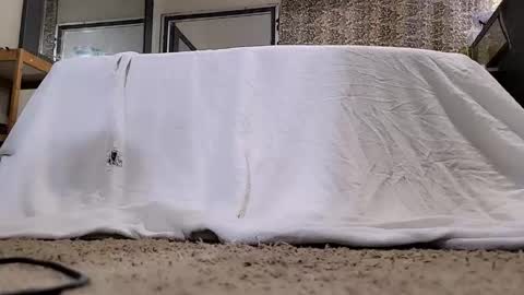 Bootyshows online show from March 12, 11:25 am