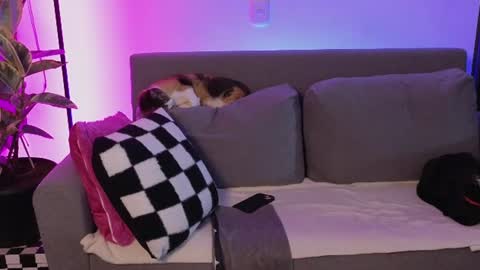 Jane online show from June 12, 2:54 am