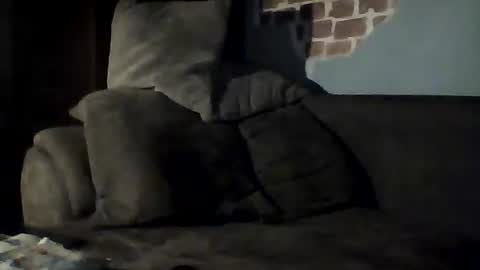 Jan88 online show from February 22, 9:04 pm