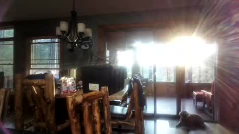 jason29054 online show from July 7, 1:07 am