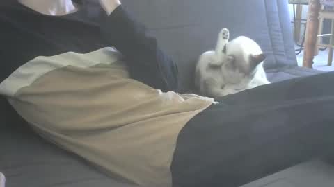 Snapshot of jasper_0_e23cm chatting on September 21, 7:45 am jasper 0 e23cm online show from September 21, 7:45 am