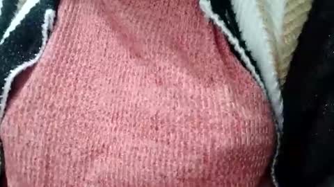 jasspreettt online show from February 1, 1:55 am