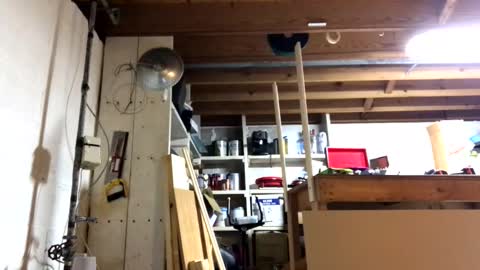 Jaws  online show from March 17, 7:30 pm