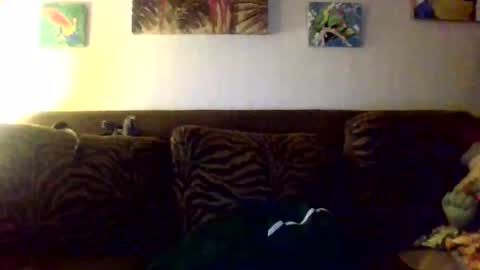 Snapshot of jay_jay1475 chatting on October 11, 10:35 pm jay-jay1475 online show from October 11, 10:35 pm