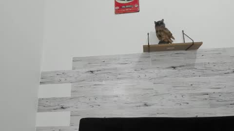 Jaycreedd online show from November 26, 4:10 am