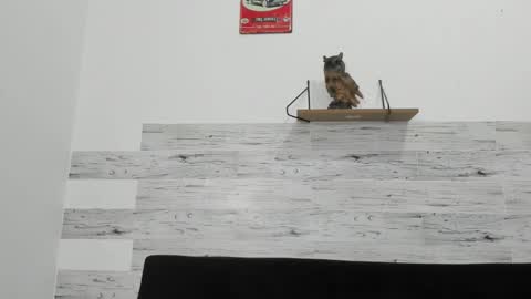 Jaycreedd online show from October 22, 2:37 am