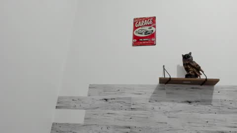 Jaycreedd online show from March 9, 4:27 am